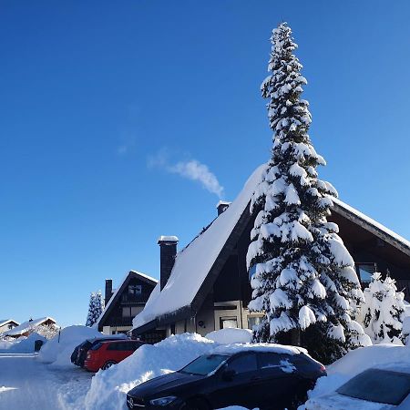 Ferienhaus-Schoenwald Im Herzen Des Schwarzwaldes 1Zimmer Wohnung Mit Terrasse App17 Εξωτερικό φωτογραφία