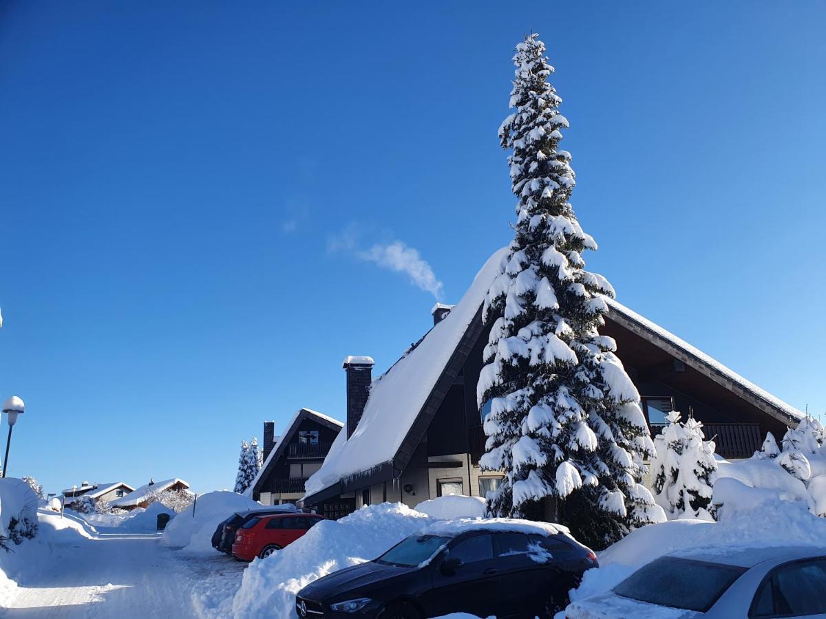 Ferienhaus-Schoenwald Im Herzen Des Schwarzwaldes 1Zimmer Wohnung Mit Terrasse App17 Εξωτερικό φωτογραφία