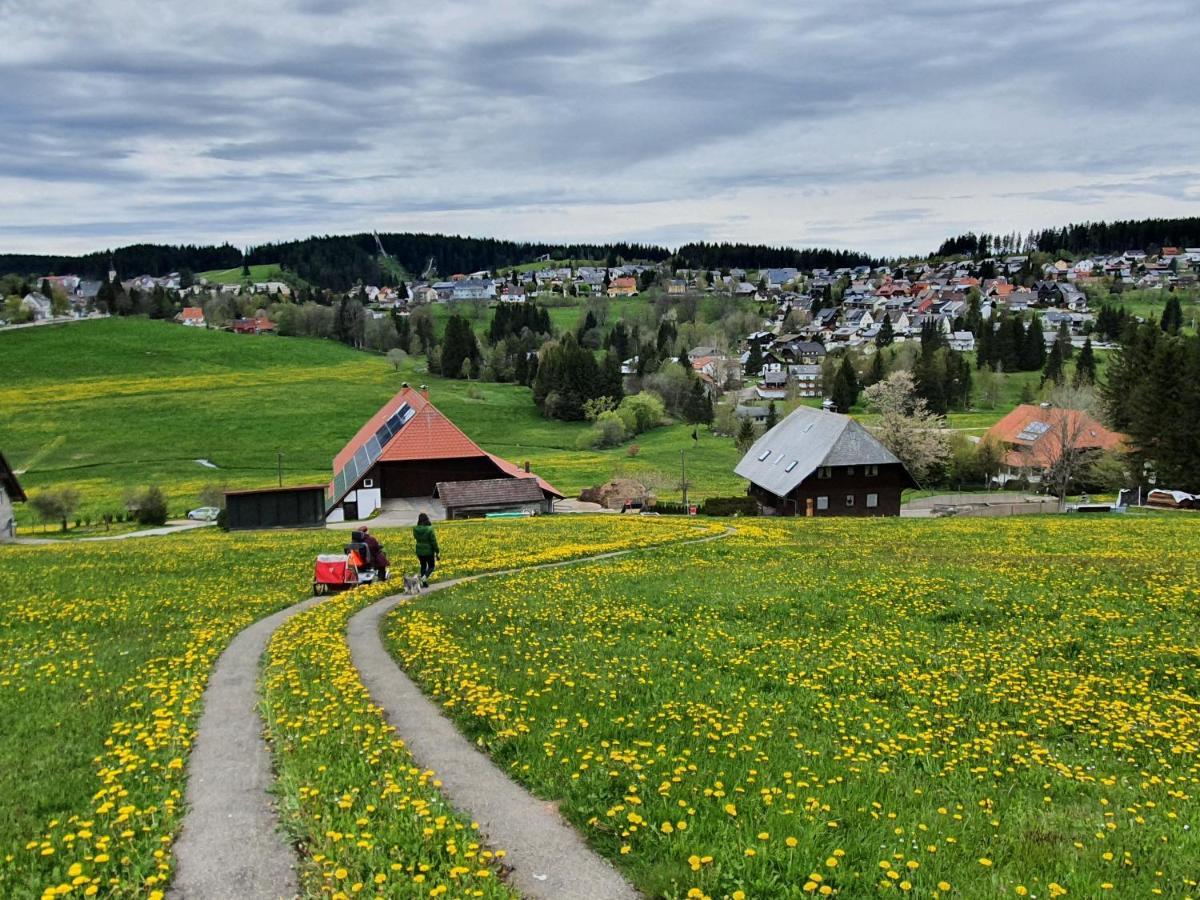 Ferienhaus-Schoenwald Im Herzen Des Schwarzwaldes 1Zimmer Wohnung Mit Terrasse App17 Εξωτερικό φωτογραφία