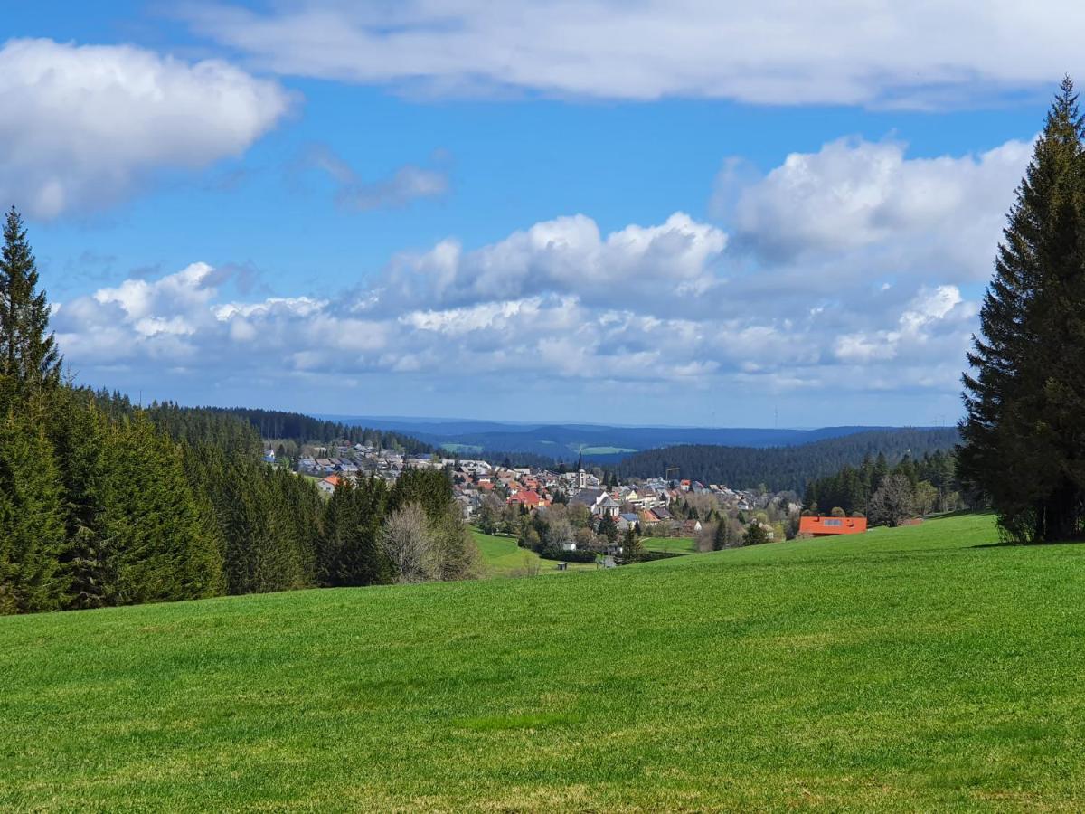 Ferienhaus-Schoenwald Im Herzen Des Schwarzwaldes 1Zimmer Wohnung Mit Terrasse App17 Εξωτερικό φωτογραφία